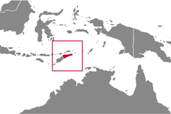 Timor-Leste