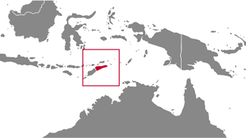 Timor-Leste