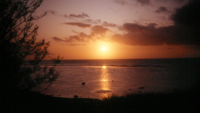 under the tongan sun