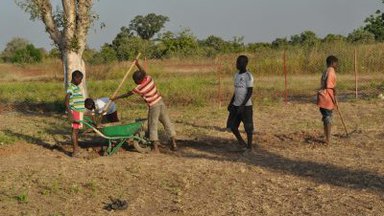 garden work