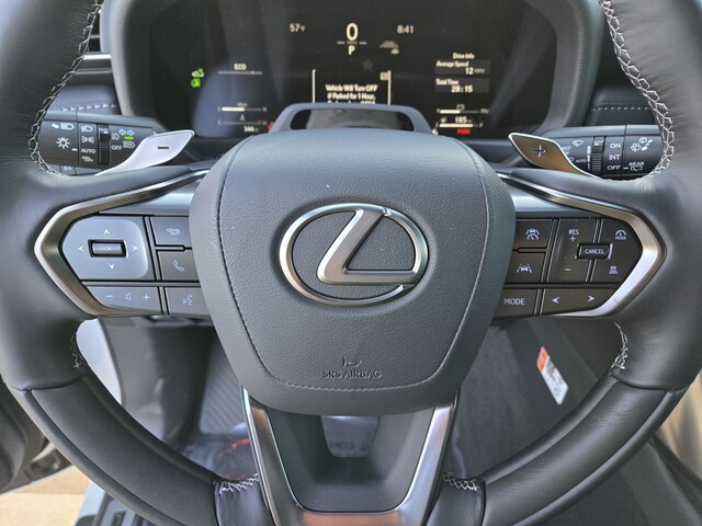new 2025 Lexus LX car, priced at $120,524