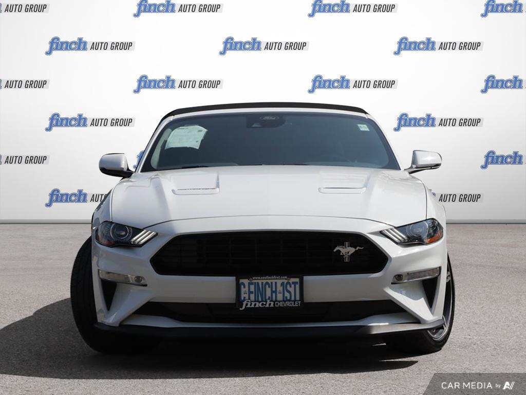 used 2019 Ford Mustang car, priced at $40,997