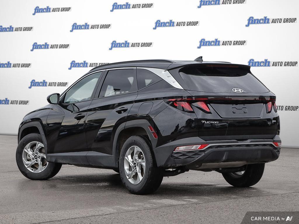used 2024 Hyundai Tucson car, priced at $35,597