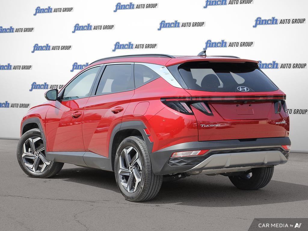 used 2023 Hyundai Tucson Hybrid car, priced at $37,849