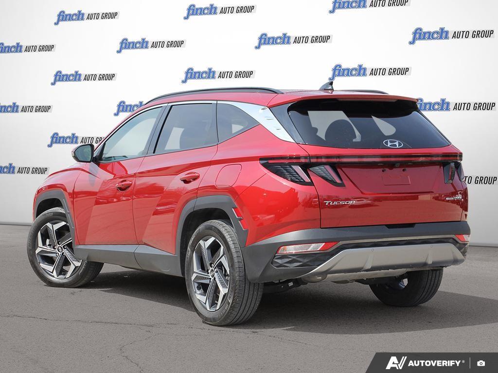 used 2023 Hyundai Tucson Hybrid car, priced at $35,597