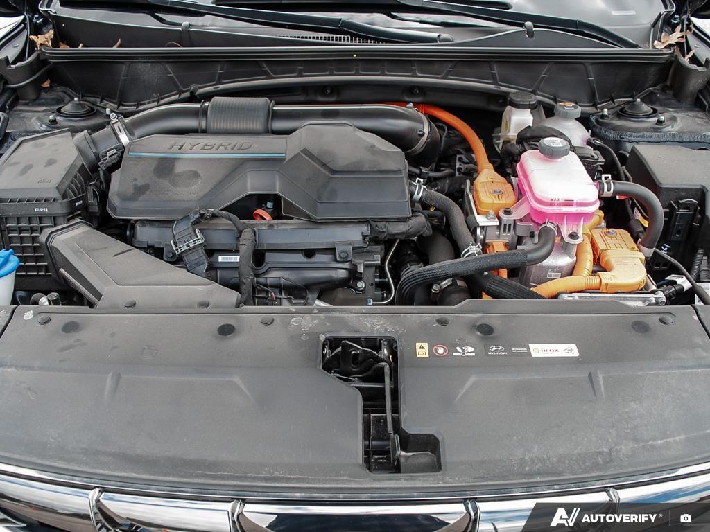 used 2024 Hyundai Tucson Hybrid car, priced at $42,597
