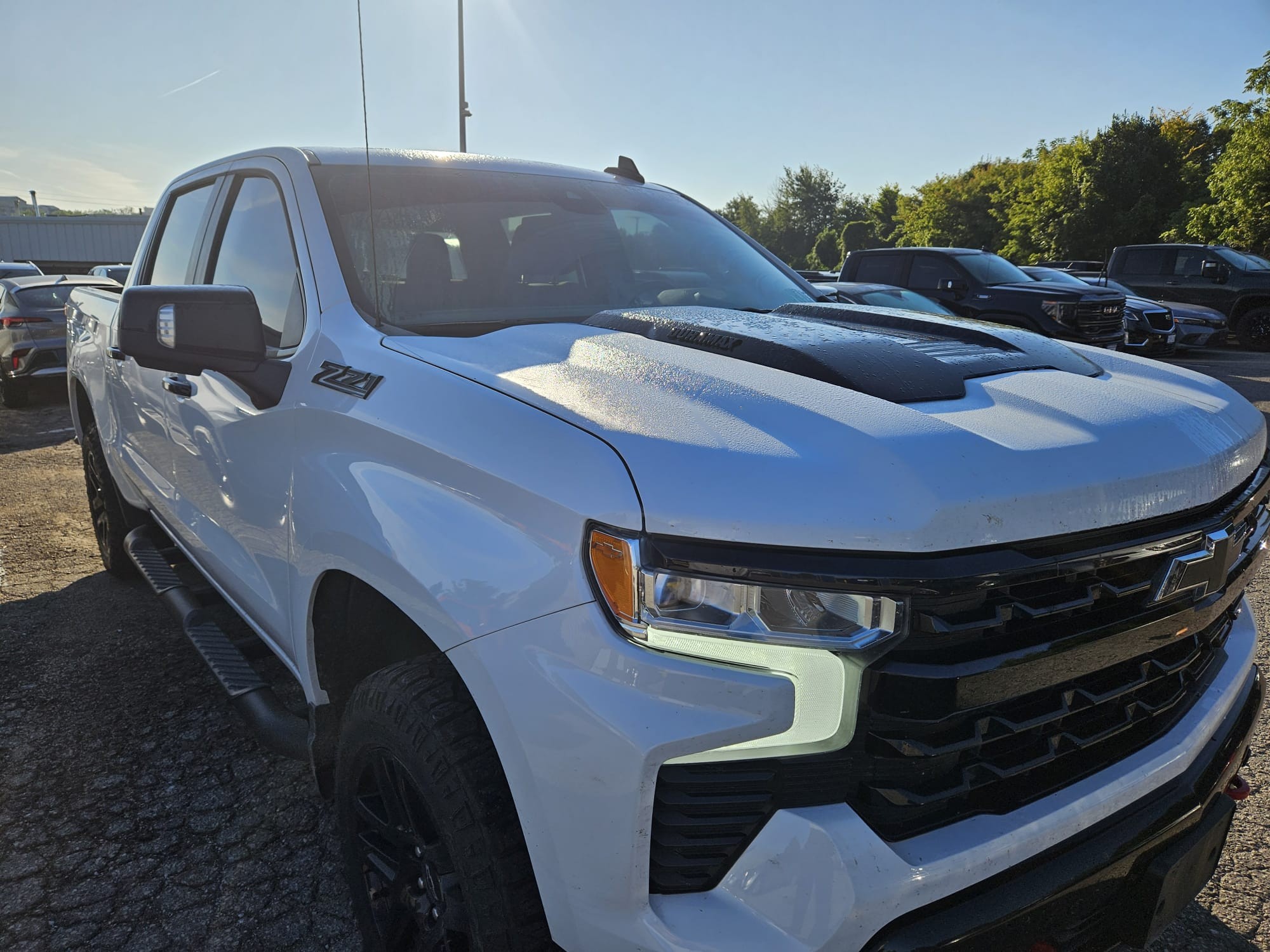 used 2024 Chevrolet Silverado 1500 car, priced at $61,446
