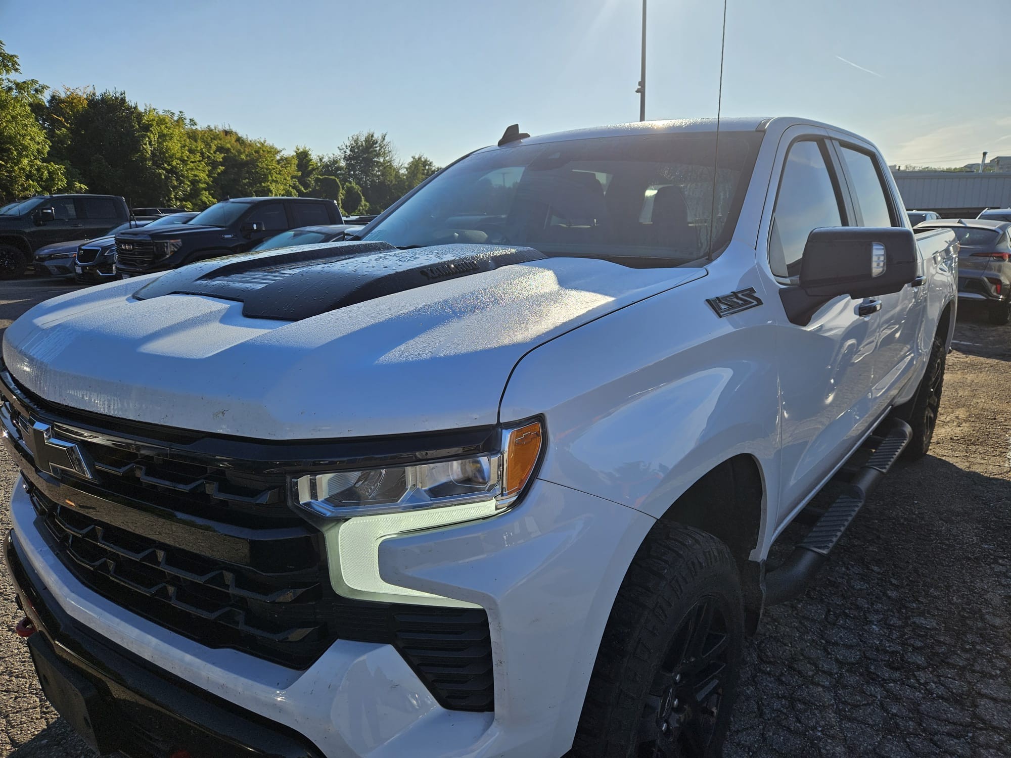 used 2024 Chevrolet Silverado 1500 car, priced at $61,446