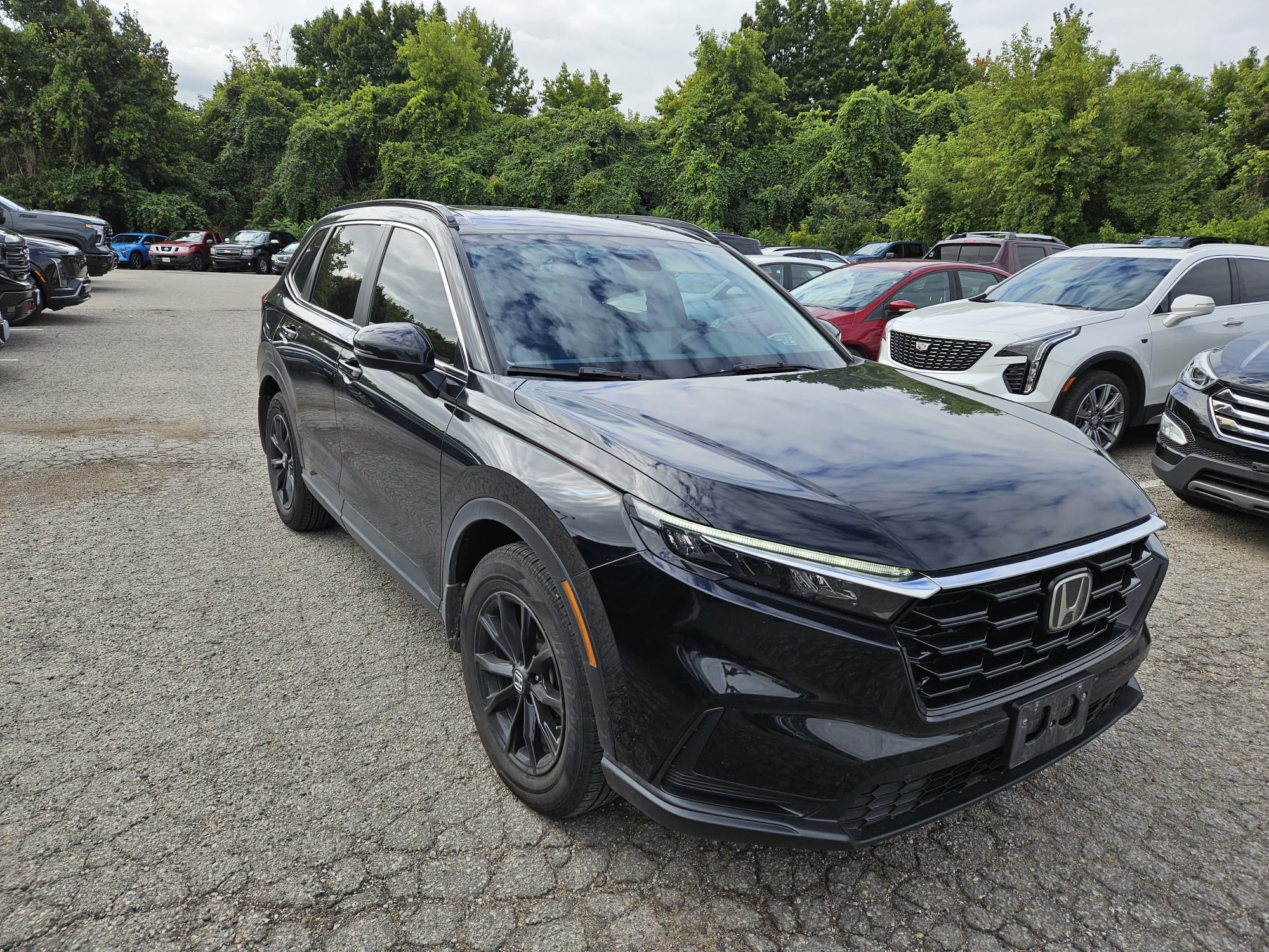 used 2024 Honda CR-V car, priced at $37,899