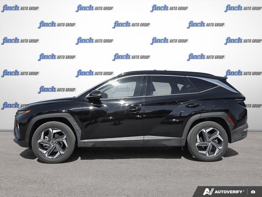 used 2024 Hyundai Tucson Hybrid car, priced at $40,597
