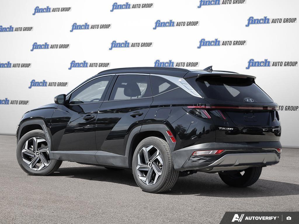 used 2024 Hyundai Tucson Hybrid car, priced at $40,597