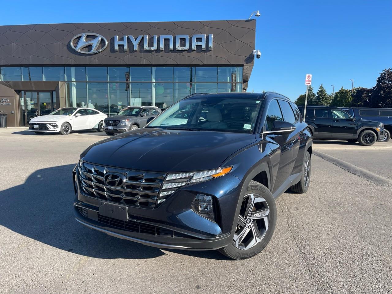 used 2023 Hyundai Tucson Hybrid car