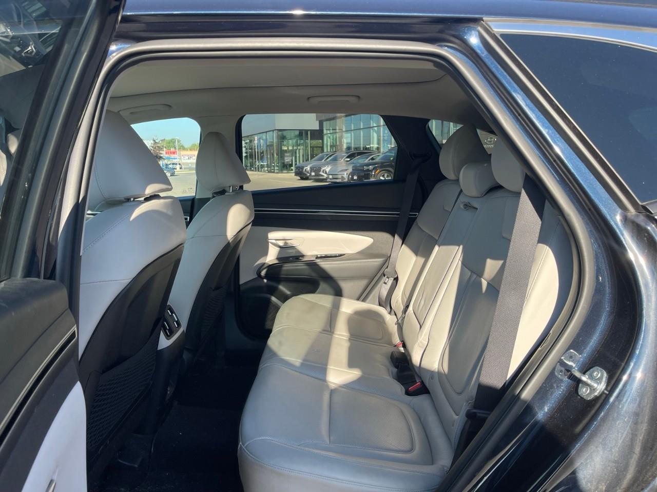 used 2023 Hyundai Tucson Hybrid car
