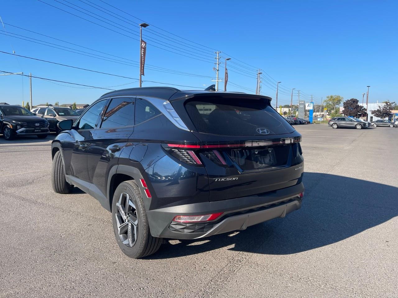 used 2023 Hyundai Tucson Hybrid car