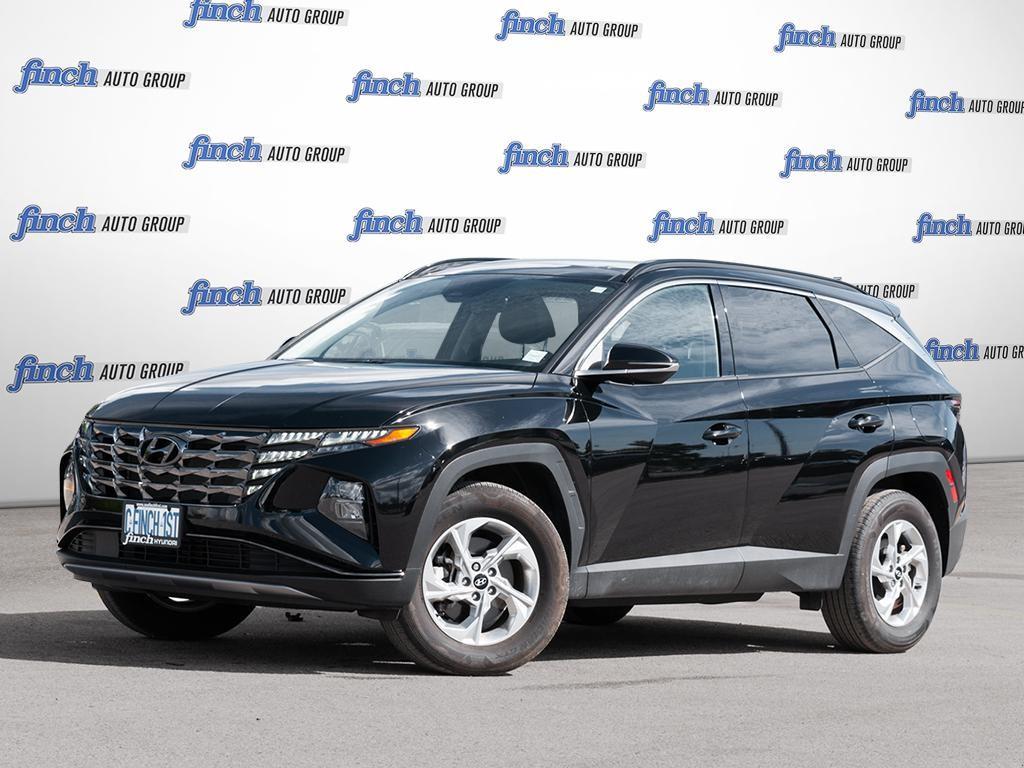 used 2024 Hyundai Tucson car