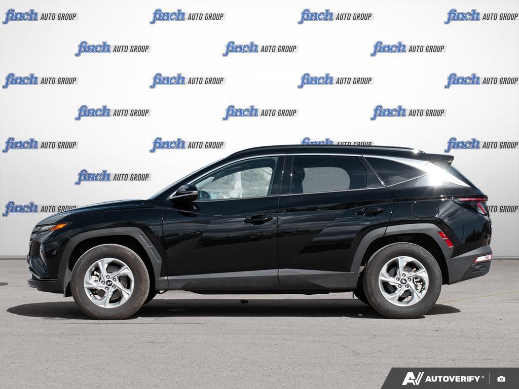 used 2024 Hyundai Tucson car