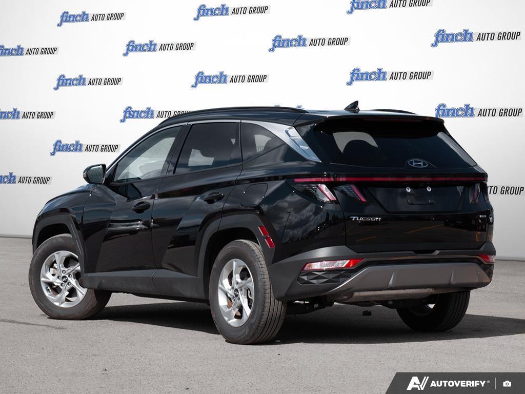 used 2024 Hyundai Tucson car