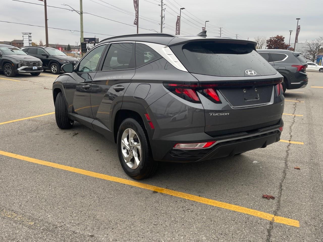 used 2024 Hyundai Tucson car