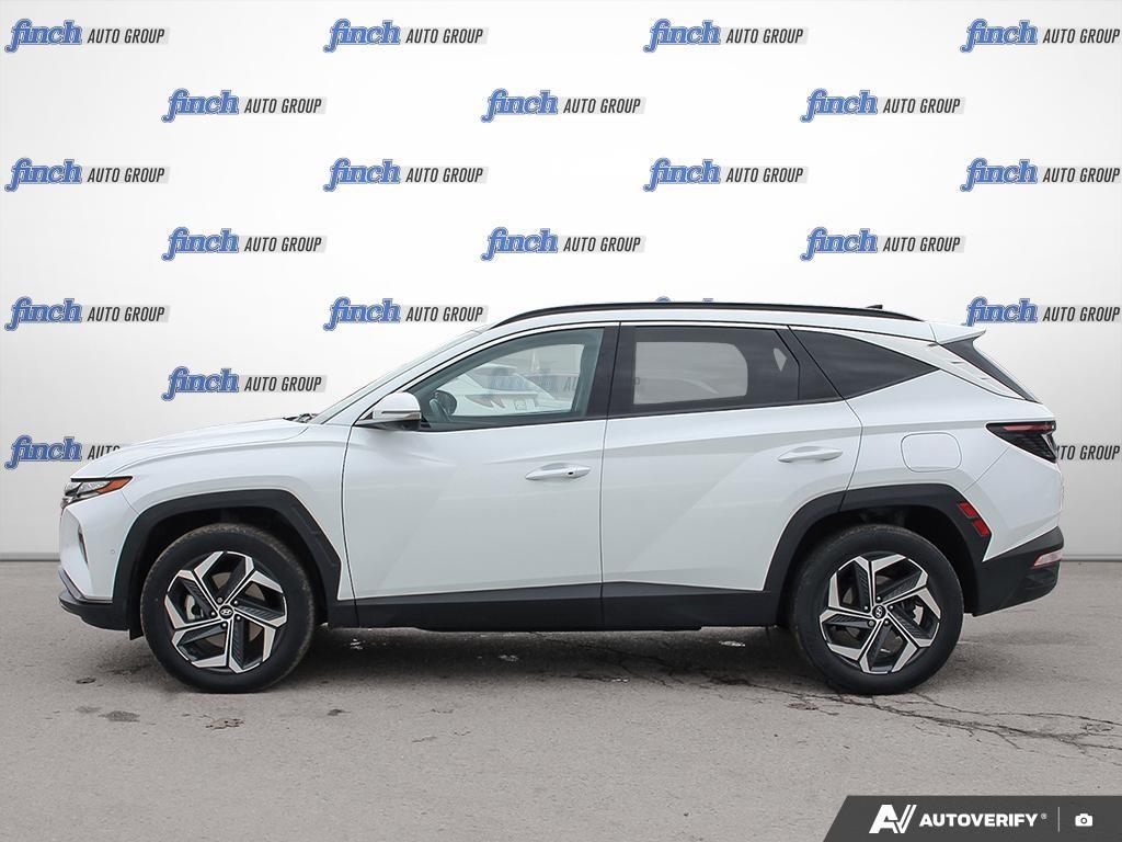 used 2022 Hyundai Tucson Hybrid car, priced at $30,597
