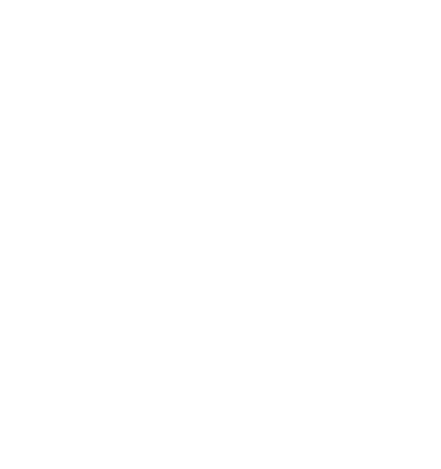 The Blogger Programme