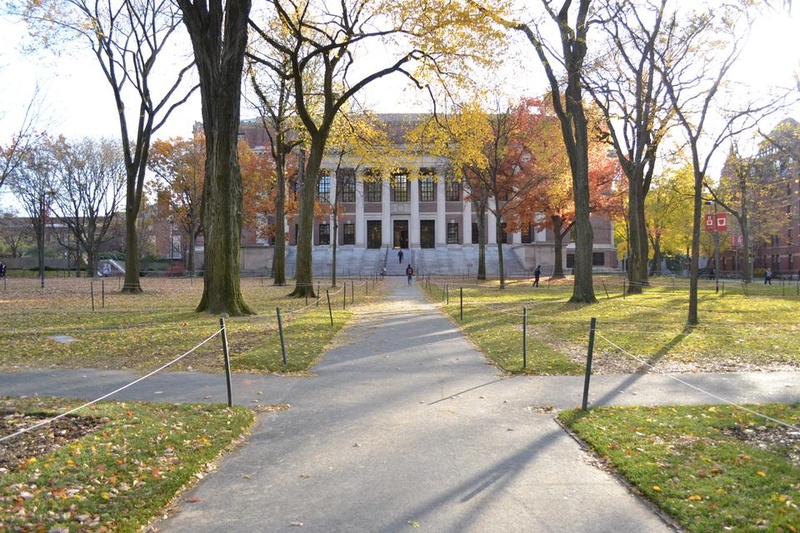 Widener Library Widener Library