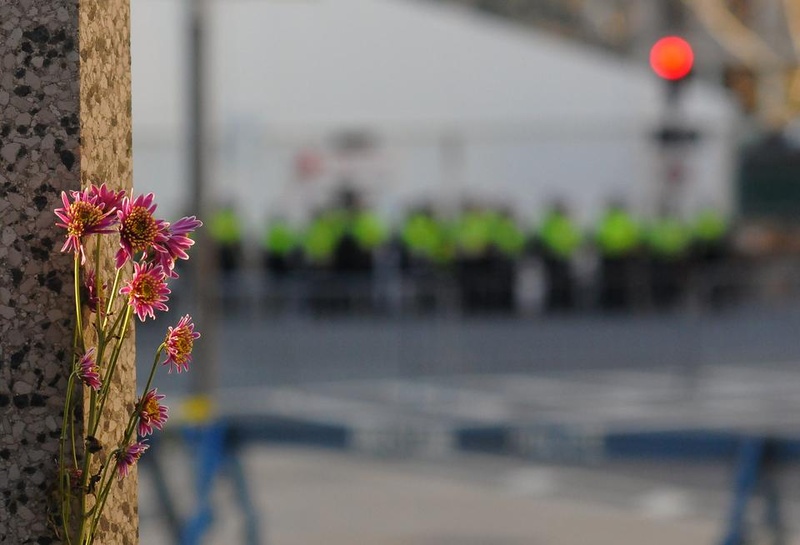 Flowers Flowers