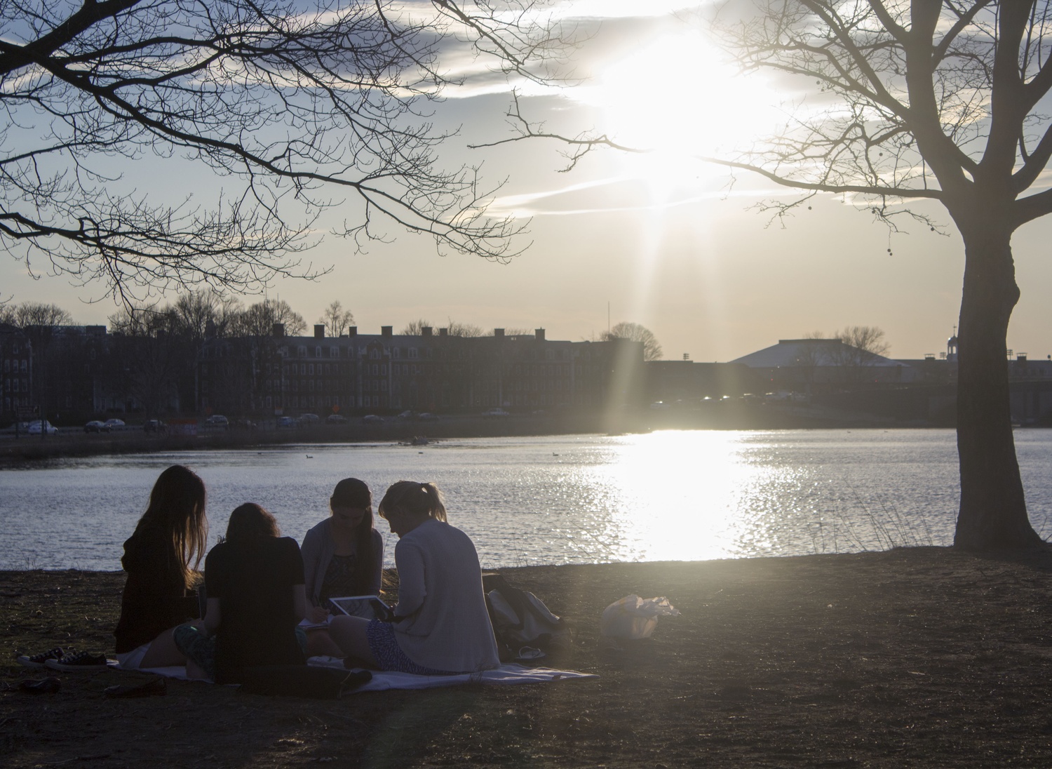 Spring Evening on the Charles Spring Evening on the Charles