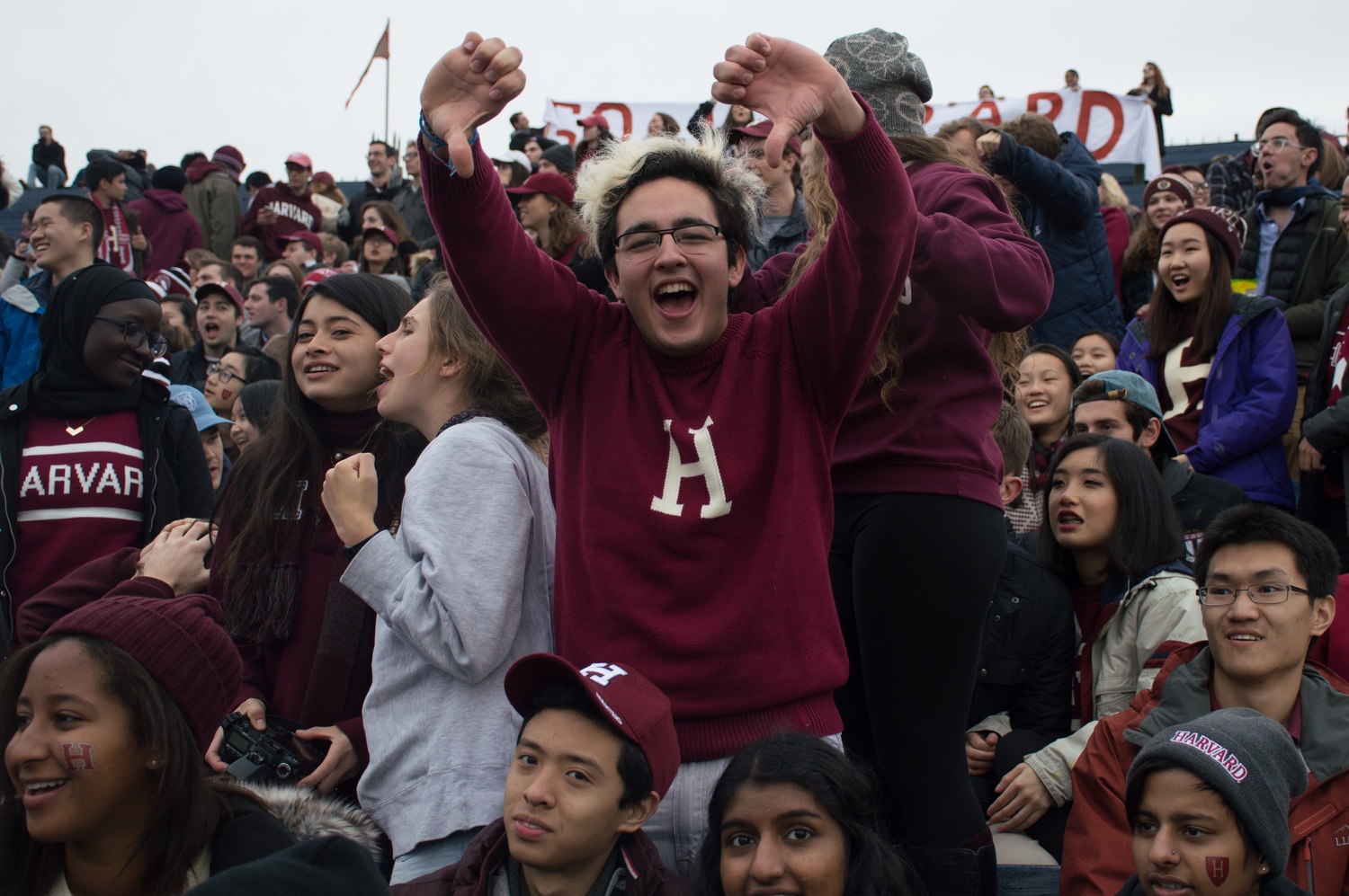 Harvard Fan Harvard Fan