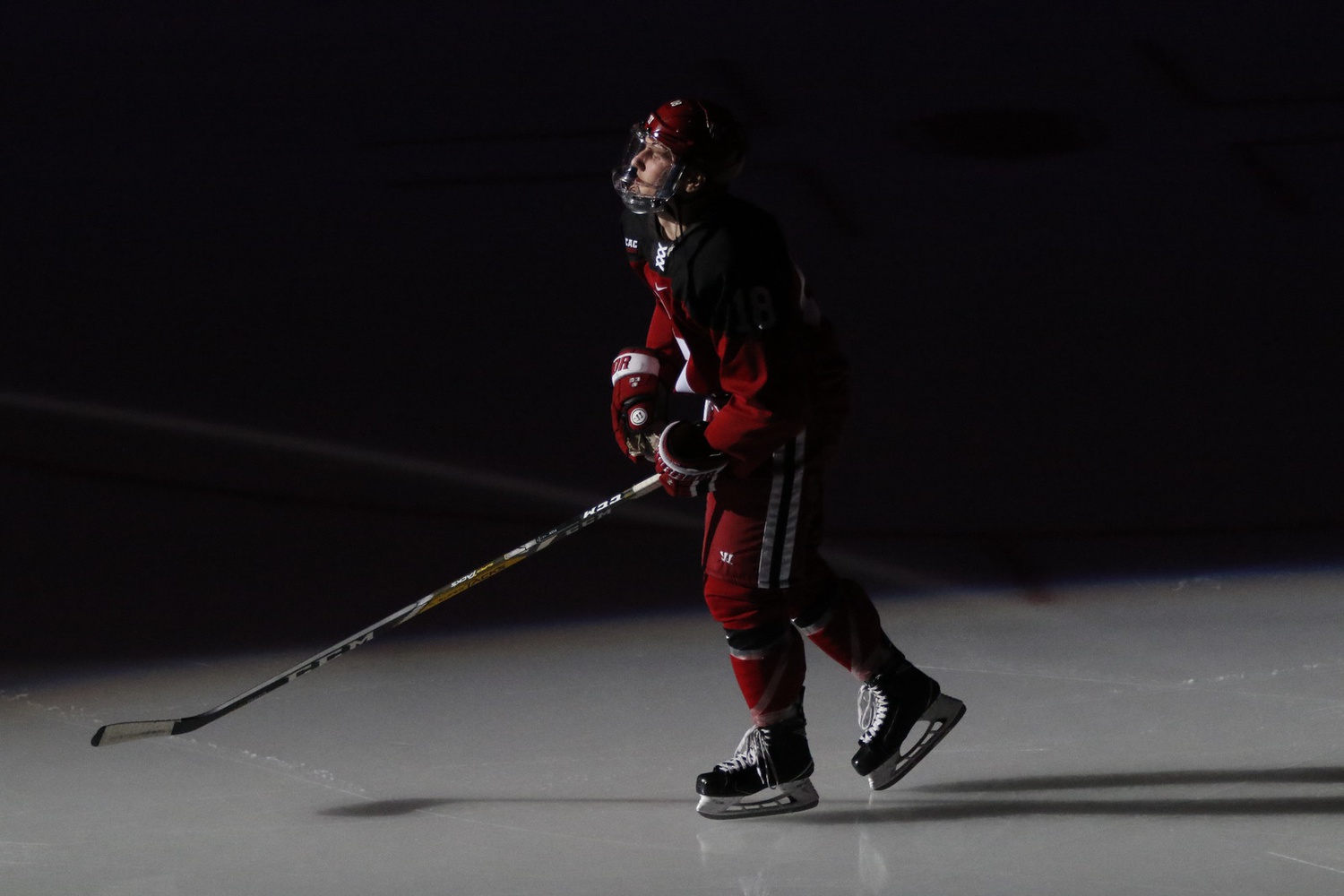 In the Spotlight In the Spotlight